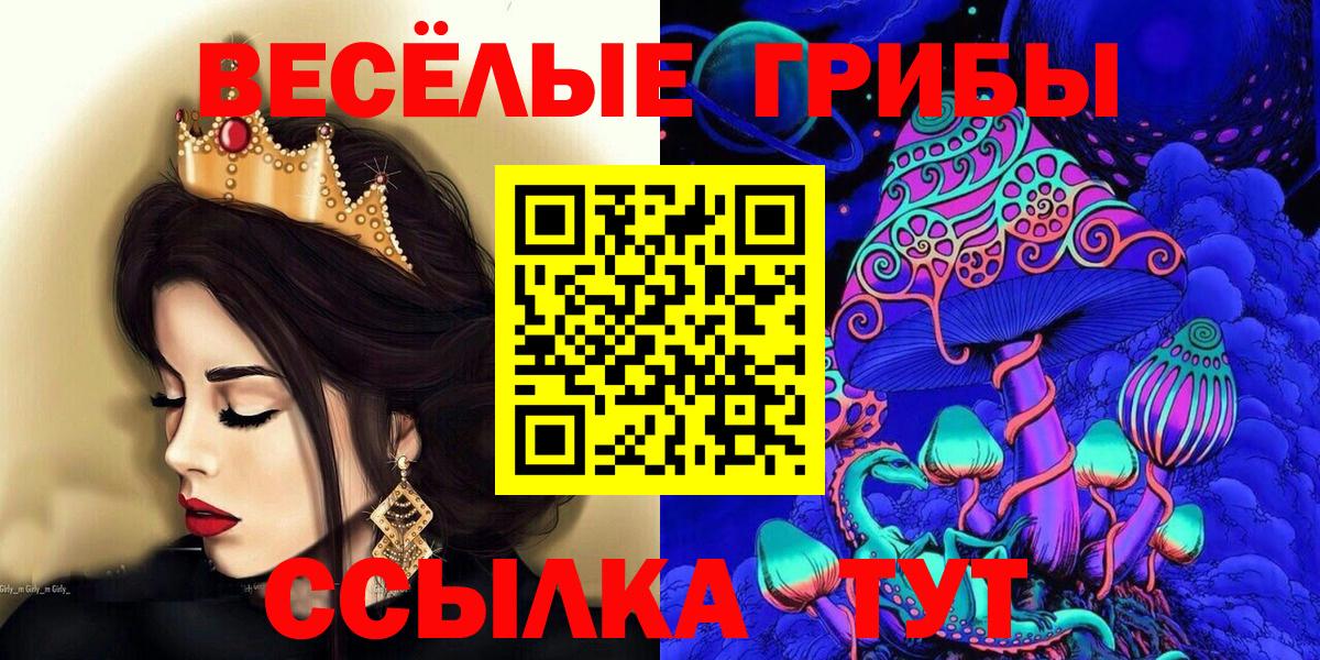 Нефтекумск  Псилоцибиновые грибы ЛСД  Вход с VPN 
